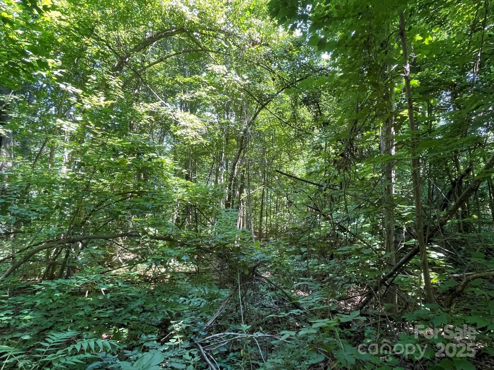 3287 Stones Throw Drive #3 Valdese, NC 28690