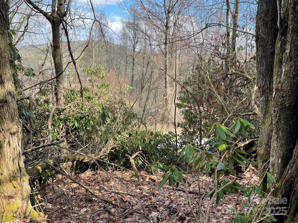 0 Gingercake Road Newland, NC 28657