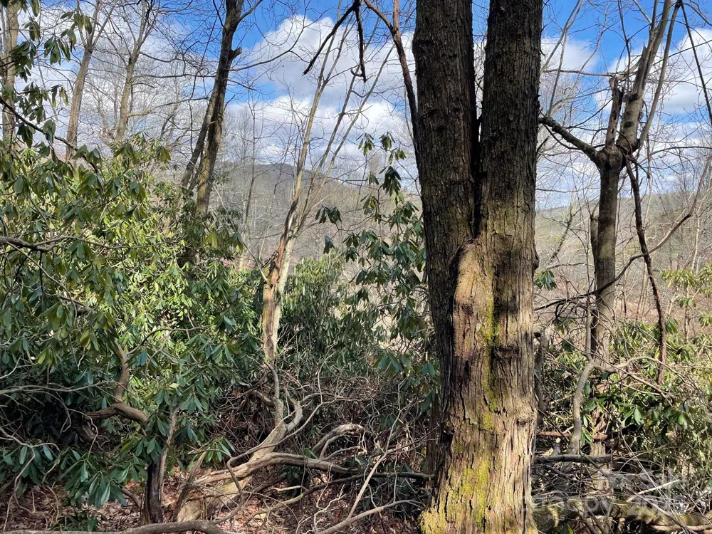 0 Gingercake Road Newland, NC 28657