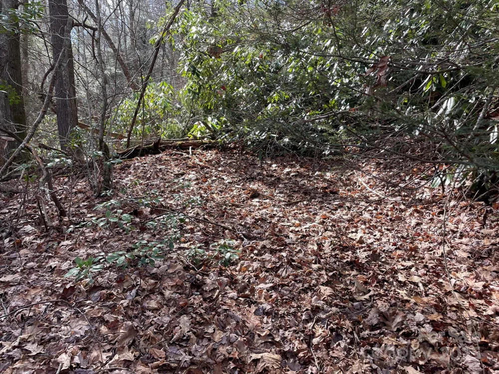0 Gingercake Road Newland, NC 28657