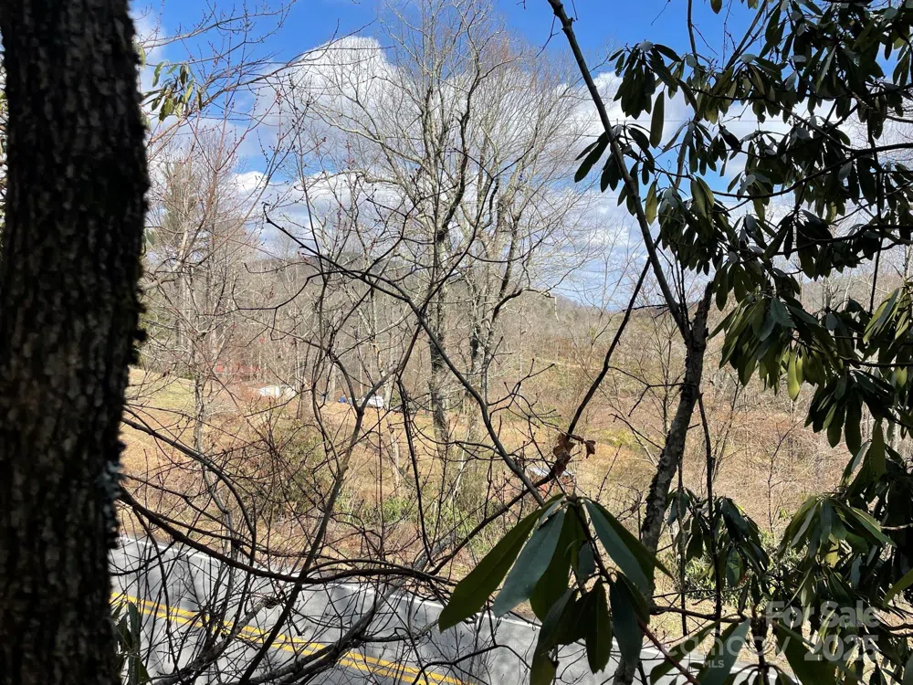 0 Gingercake Road Newland, NC 28657