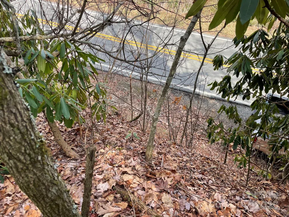 0 Gingercake Road Newland, NC 28657