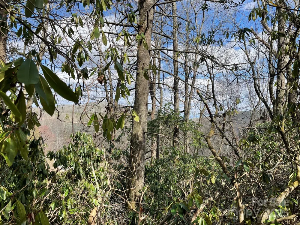 0 Gingercake Road Newland, NC 28657