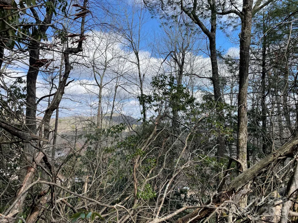 0 Gingercake Road Newland, NC 28657