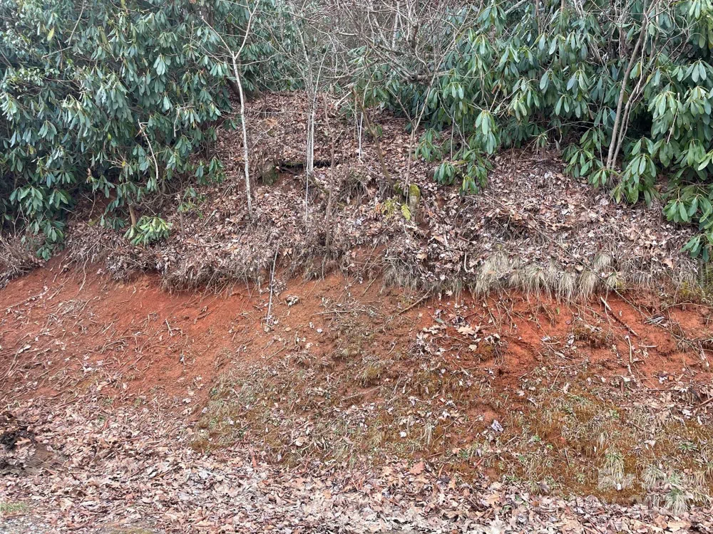 0 Gingercake Road Newland, NC 28657
