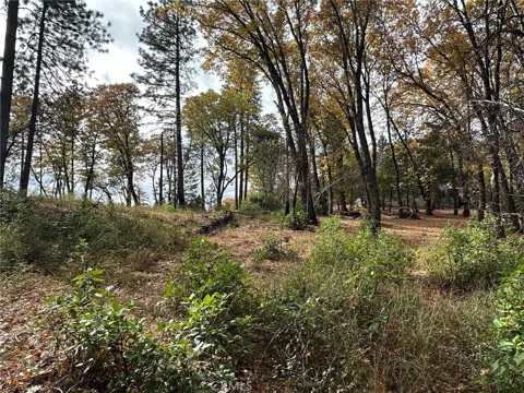 Bunker Hill Mine Rd