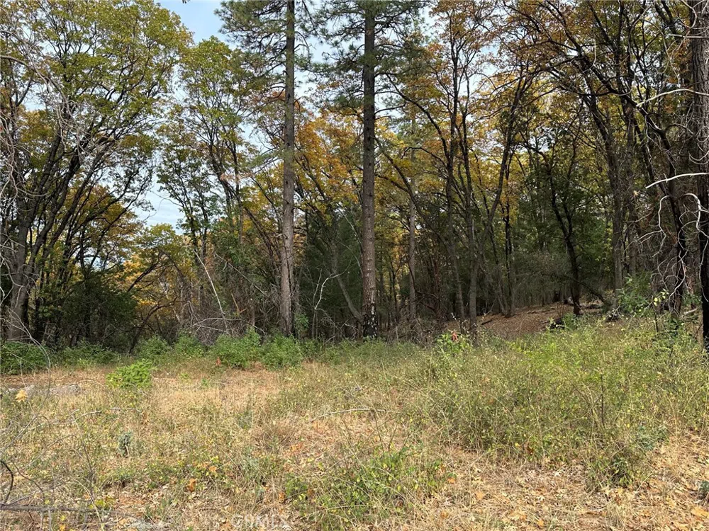 Bunker Hill Mine Rd Yankee Hill, CA 95965