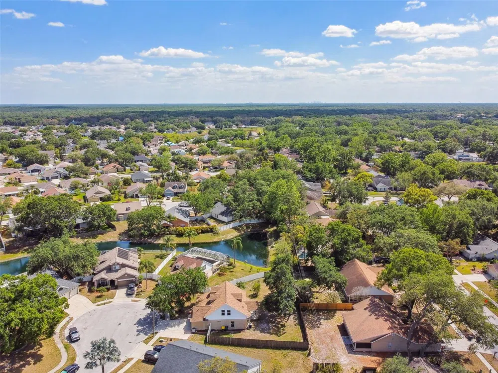 24231 SATINWOOD COURT Lutz, FL 33559