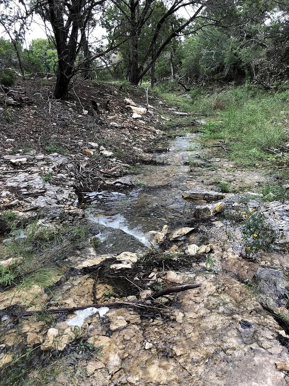 2700 Hillside Circle New Braunfels, TX 78132