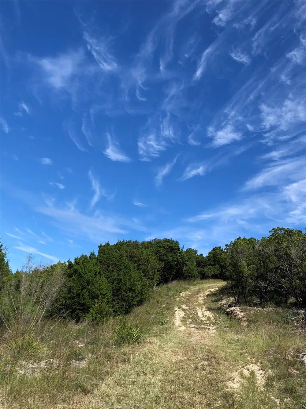 2700 Hillside Circle New Braunfels, TX 78132