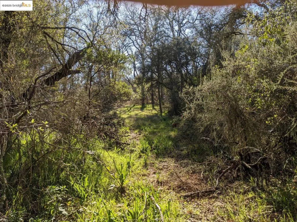 4095 Green Valley RD Rescue, CA 95672