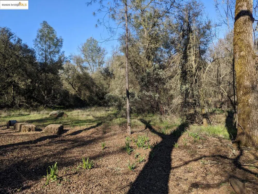 4095 Green Valley RD Rescue, CA 95672