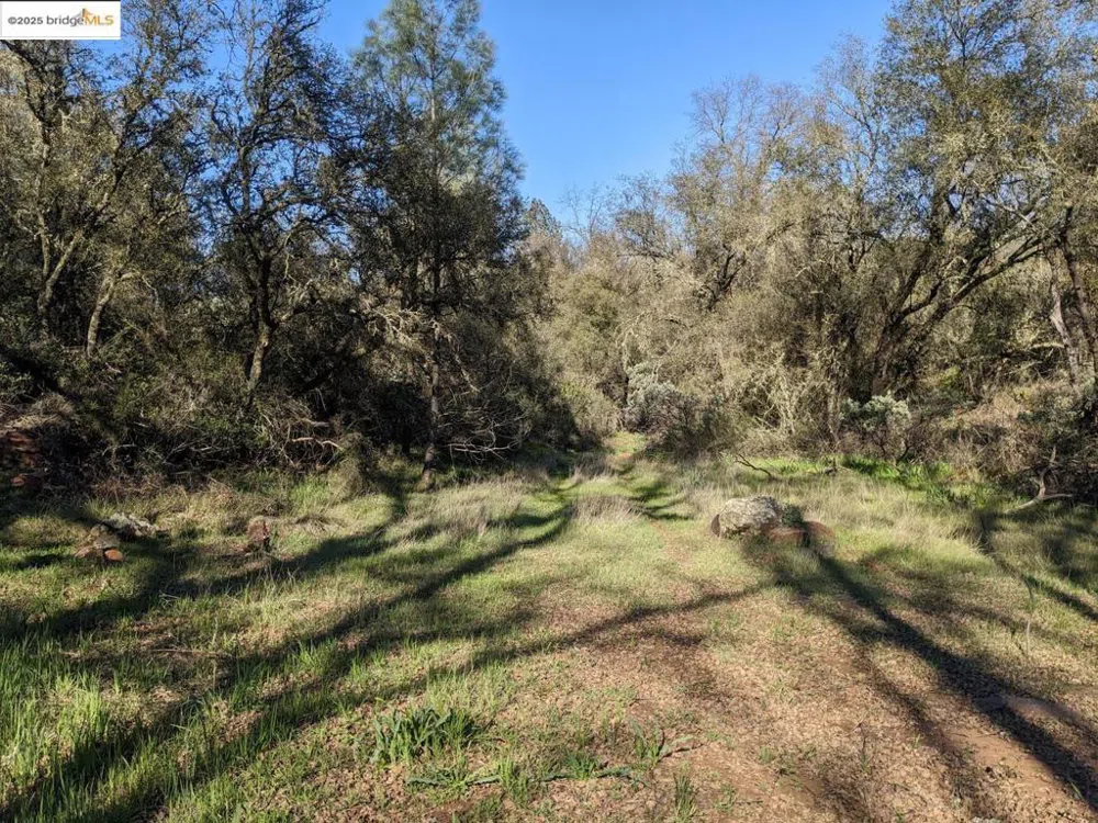 4095 Green Valley RD Rescue, CA 95672