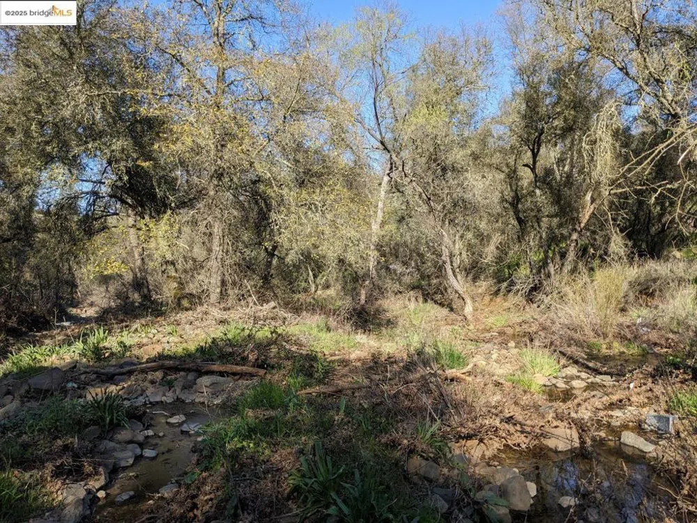 4095 Green Valley RD Rescue, CA 95672