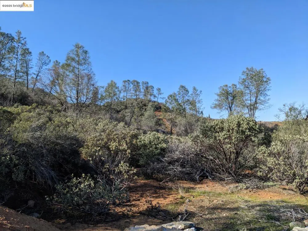 4095 Green Valley RD Rescue, CA 95672