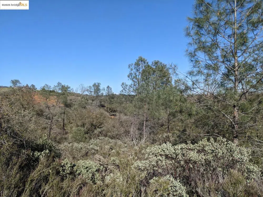 4095 Green Valley RD Rescue, CA 95672