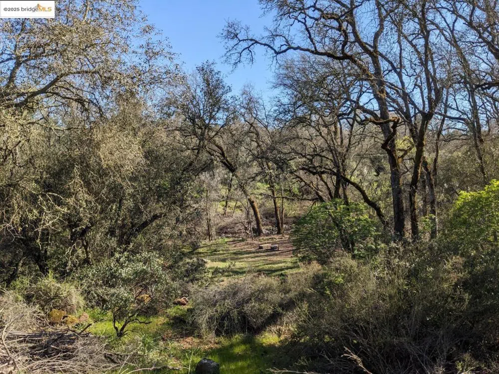 4095 Green Valley RD Rescue, CA 95672