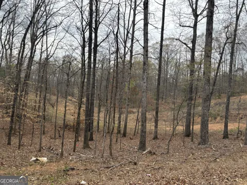 0 Summer Lake RD