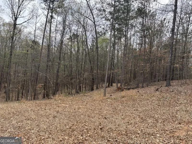 0 Summer Lake RD Lithia Springs, GA 30122