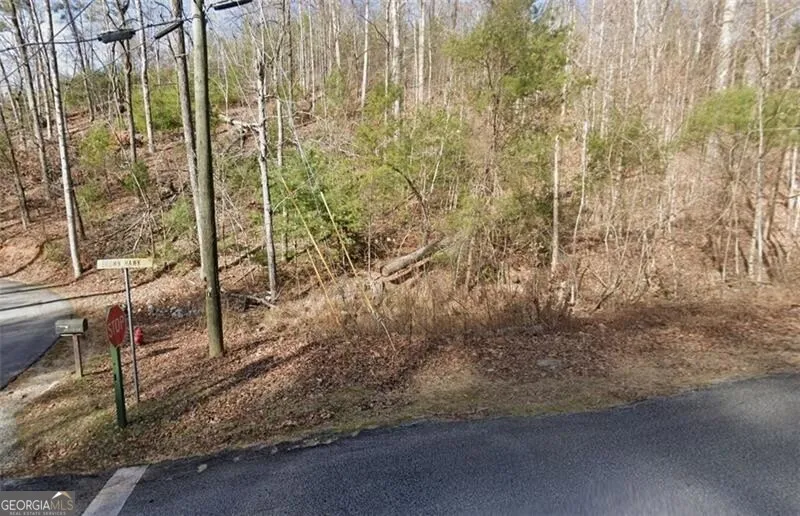 0 Brown Hawk DR Clayton, GA 30525