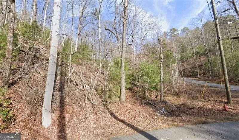 0 Brown Hawk DR Clayton, GA 30525