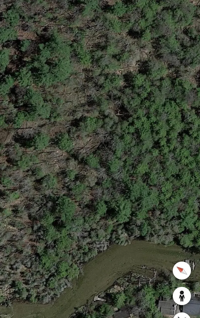 Pioneer Road Homestead Township, MI 49640