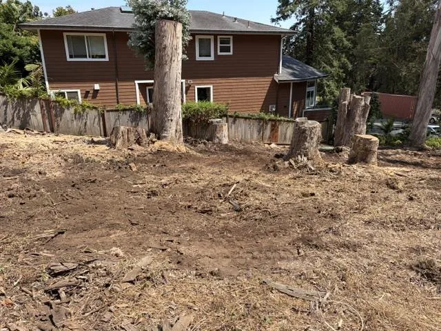 Sevilla Ave El Granada, CA 94018