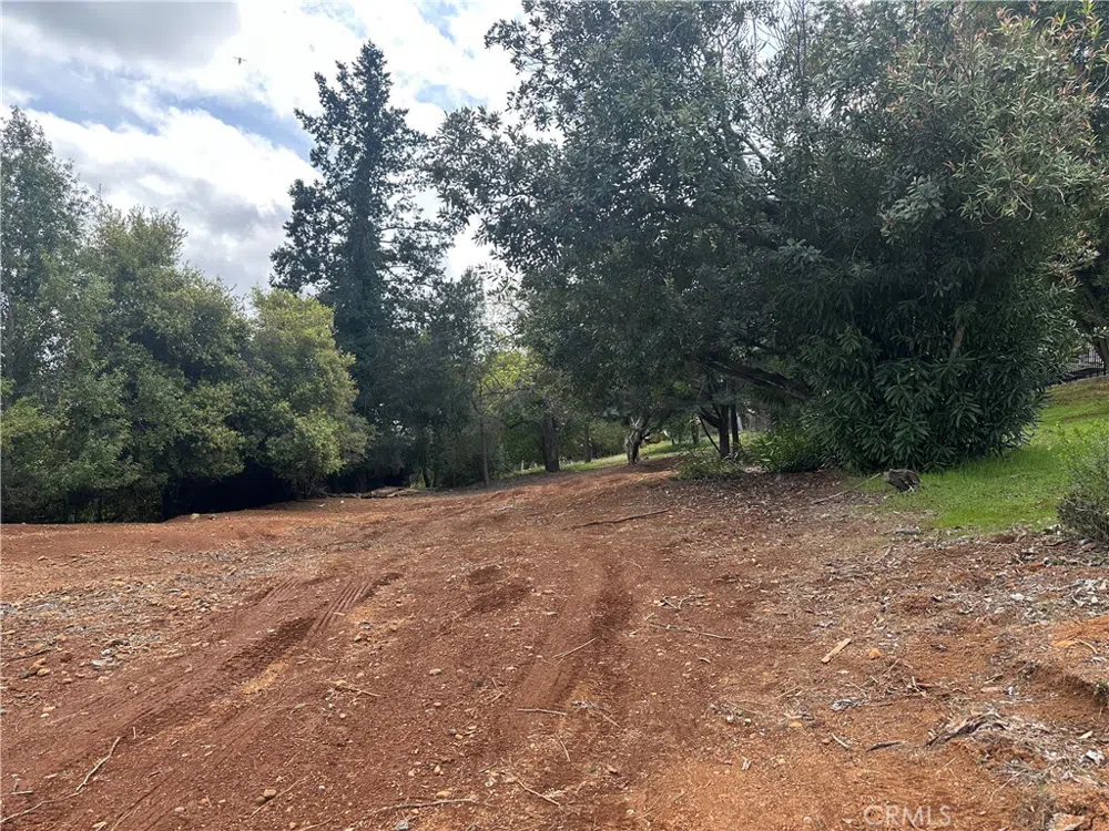 8505 Harbor View Drive Kelseyville, CA 95451