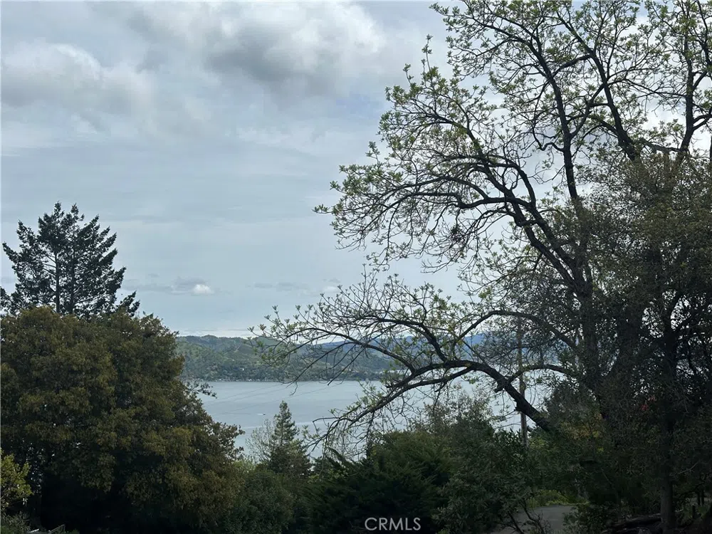 8505 Harbor View Drive Kelseyville, CA 95451