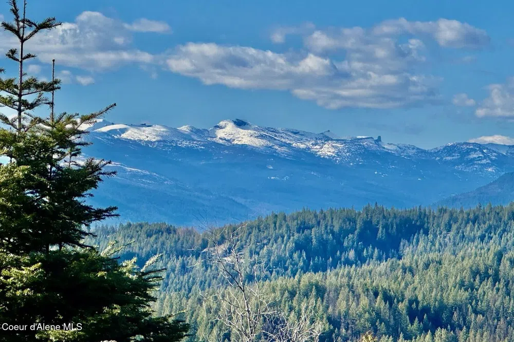 101 Green Monarch Lane Sandpoint, ID 83864