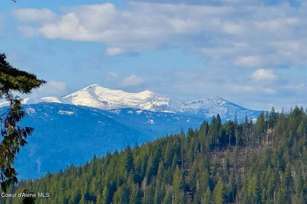 101 Green Monarch Lane Sandpoint, ID 83864
