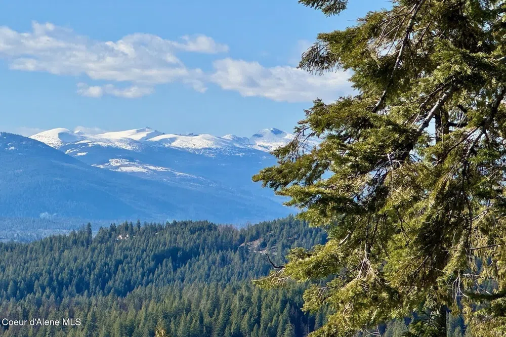101 Green Monarch Lane Sandpoint, ID 83864