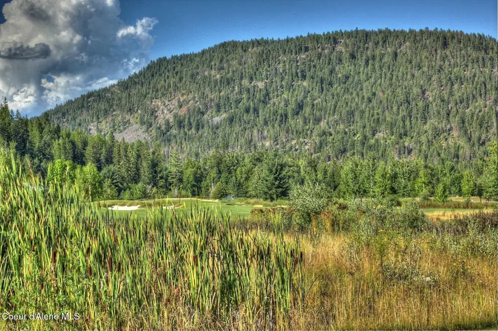 101 Green Monarch Lane Sandpoint, ID 83864