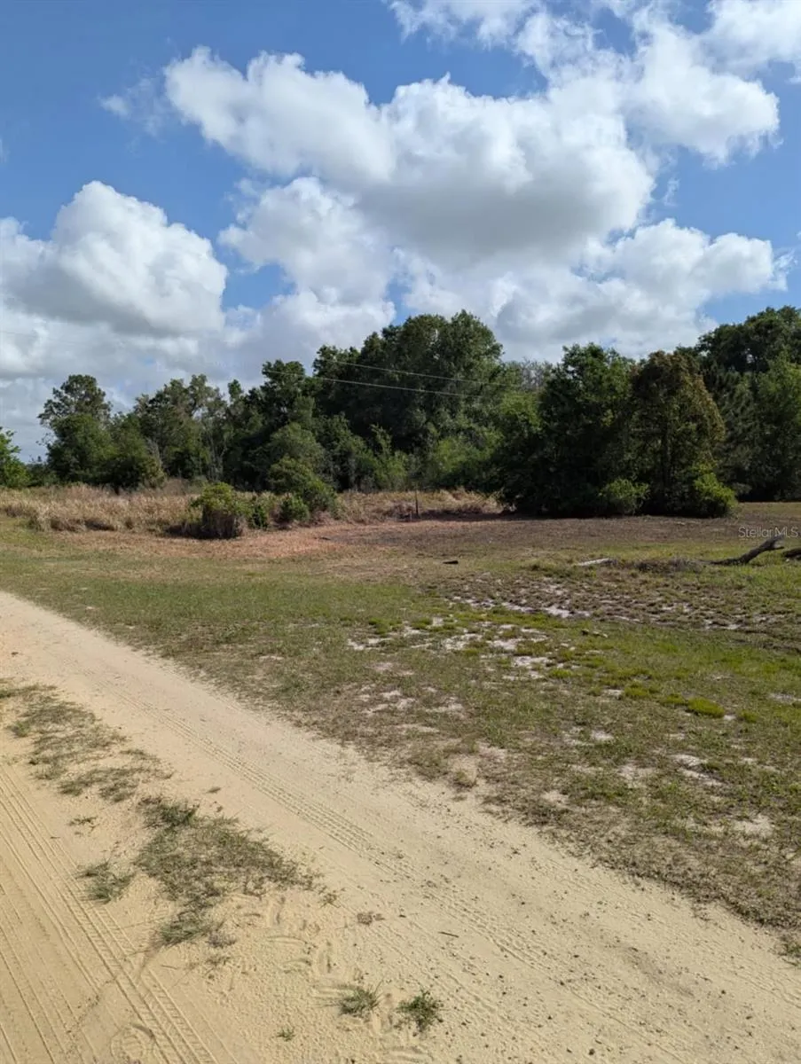 3465 W ANSONIA ROAD Avon Park, FL 33825