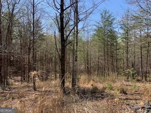 0 Townview DR Cleveland, GA 30528