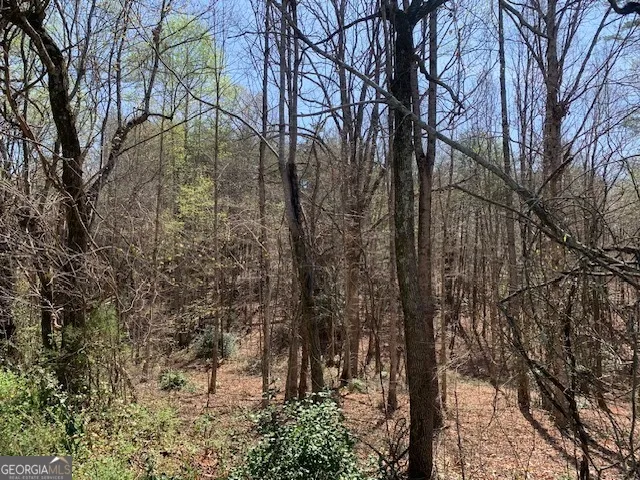 0 Townview DR Cleveland, GA 30528