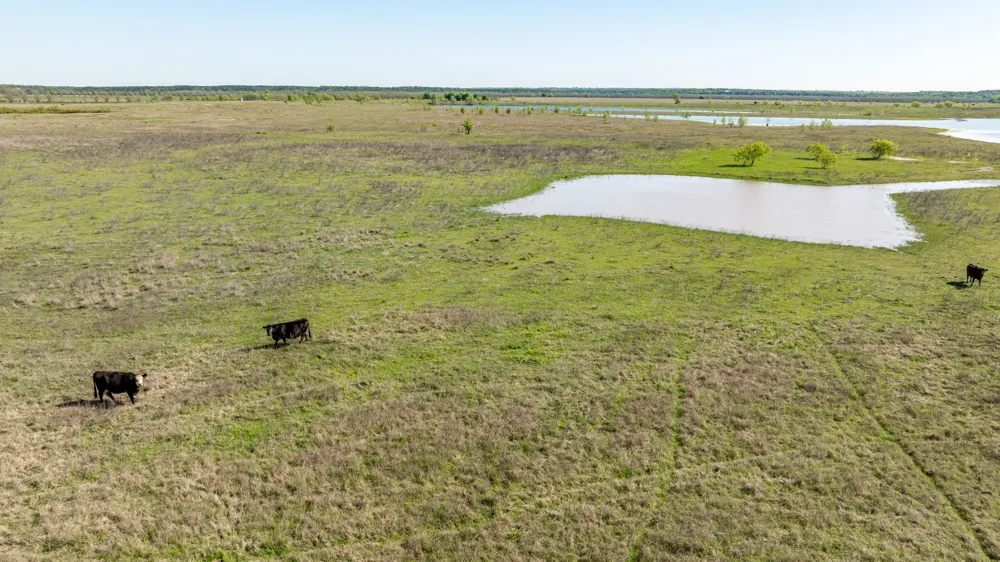 FM 2114 Clifton, TX 76634