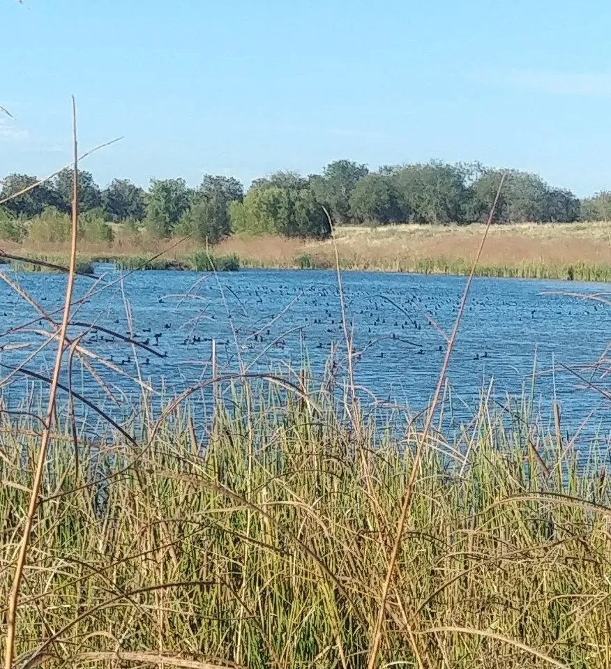 FM 2114 Clifton, TX 76634