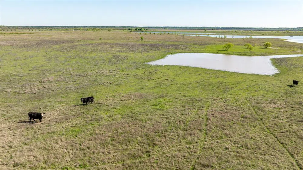 FM 2114 Clifton, TX 76634