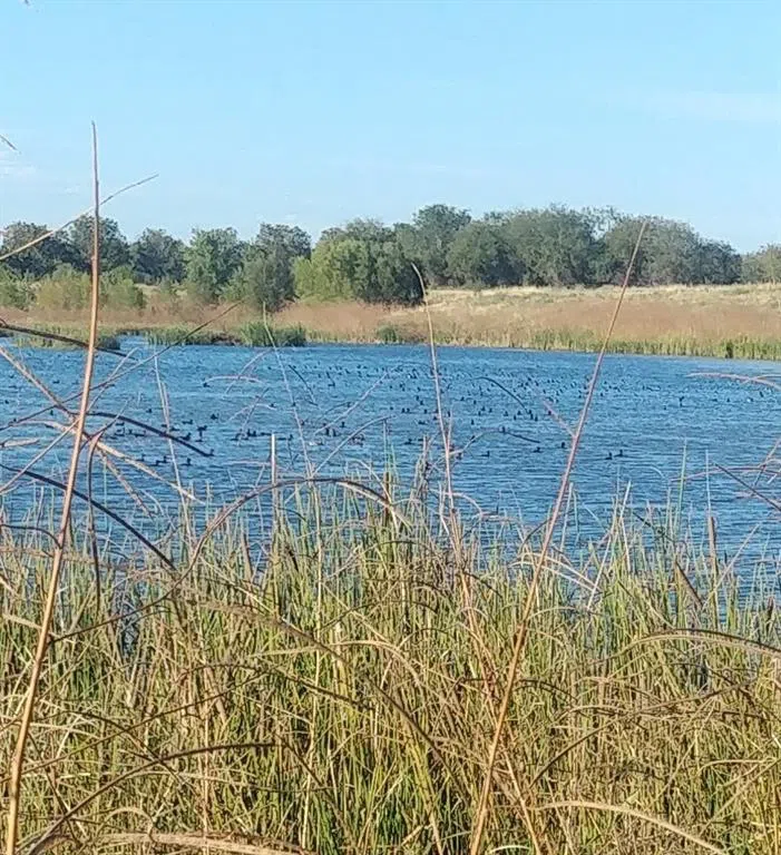 FM 2114 Clifton, TX 76634