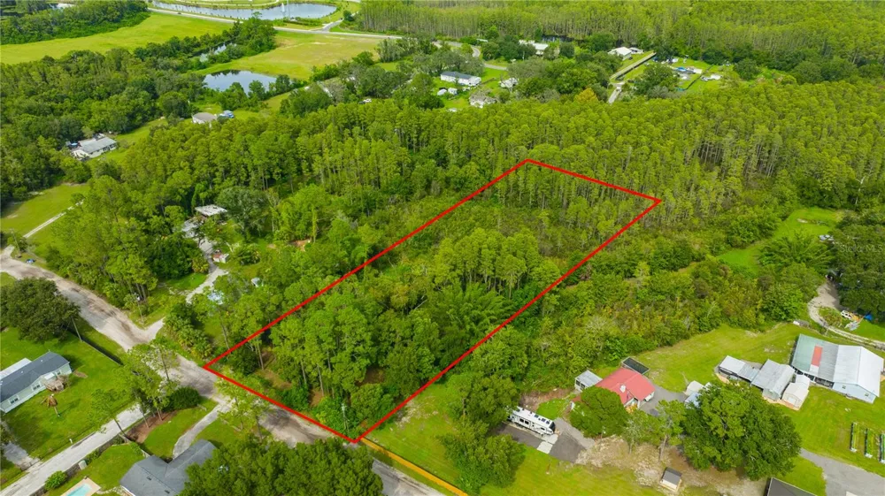 7408 TOM DRIVE Land O Lakes, FL 34638