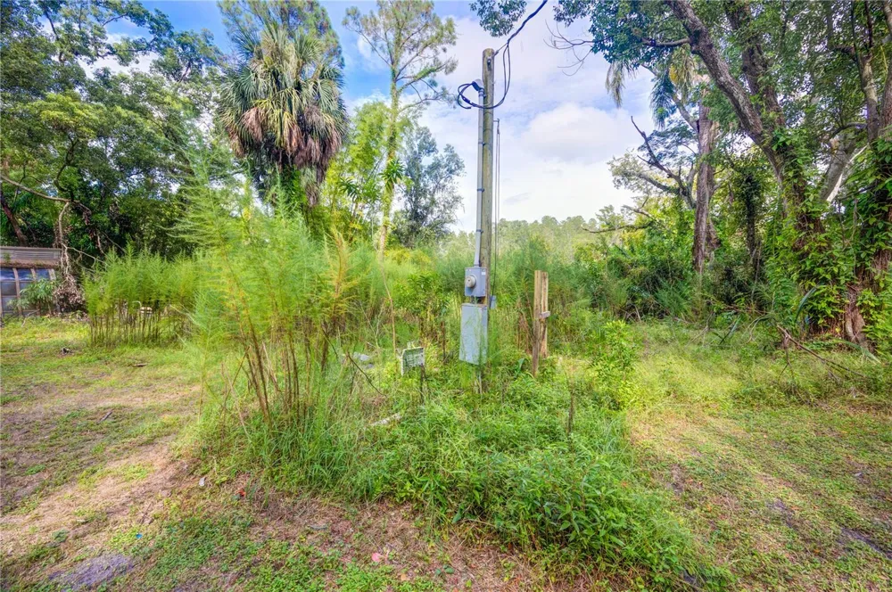 7408 TOM DRIVE Land O Lakes, FL 34638