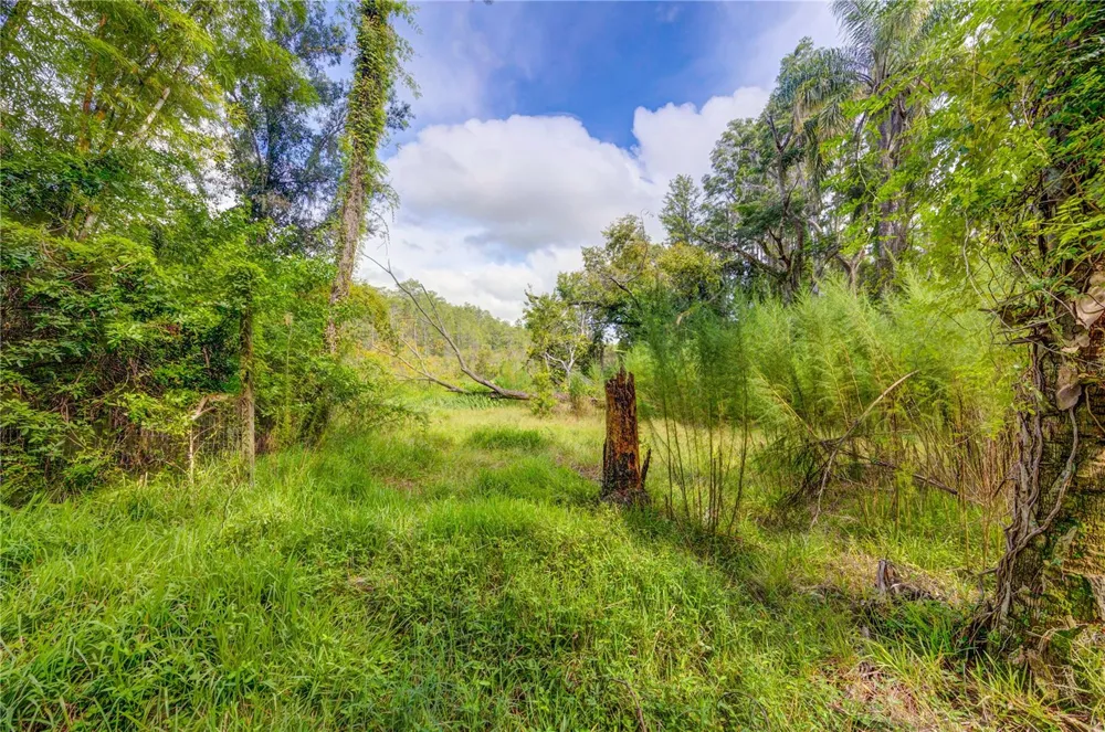7408 TOM DRIVE Land O Lakes, FL 34638