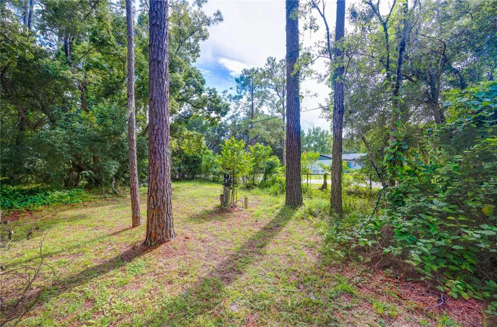 7408 TOM DRIVE Land O Lakes, FL 34638
