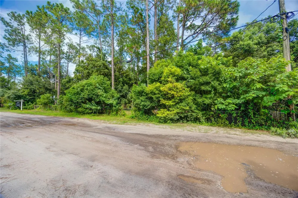 7408 TOM DRIVE Land O Lakes, FL 34638