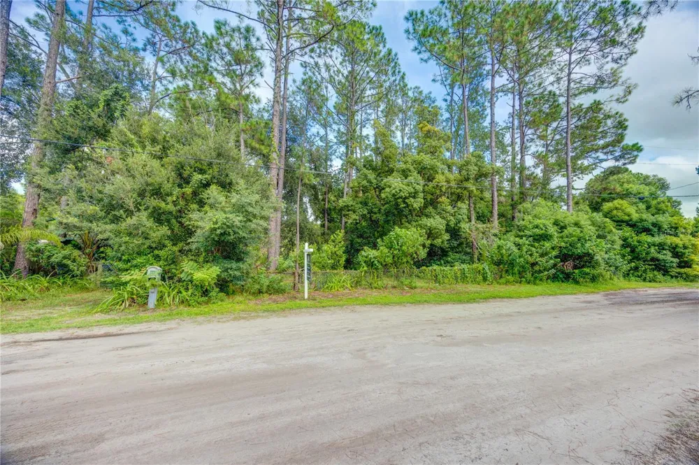 7408 TOM DRIVE Land O Lakes, FL 34638
