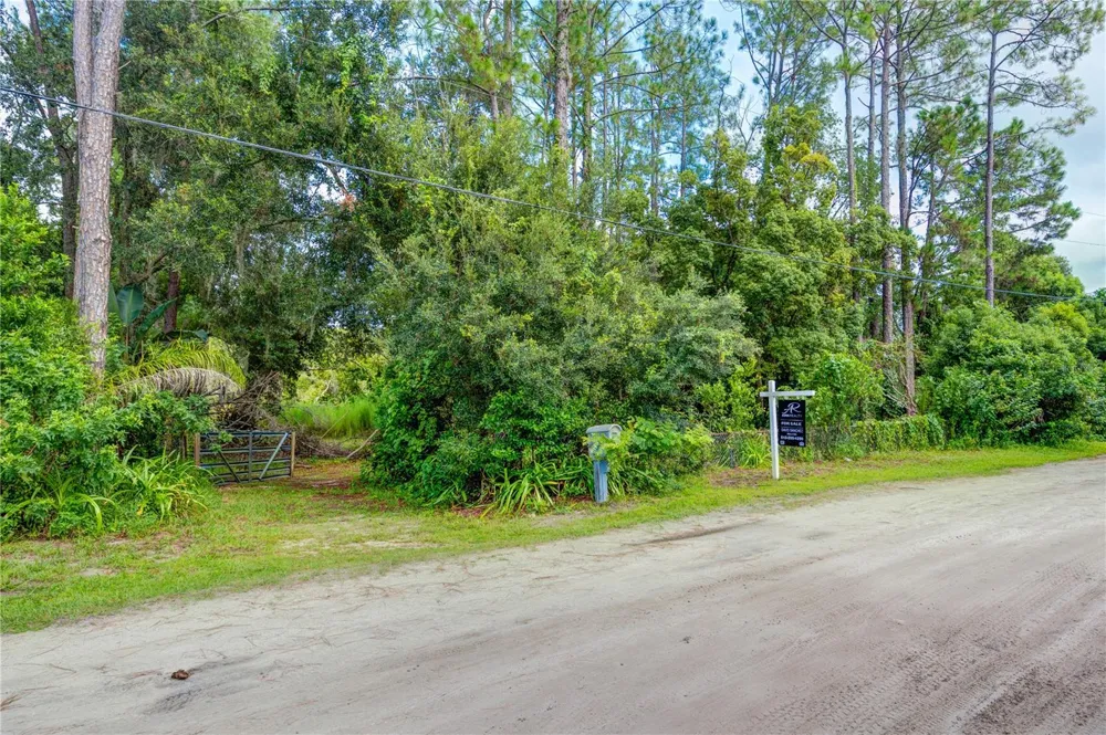 7408 TOM DRIVE Land O Lakes, FL 34638
