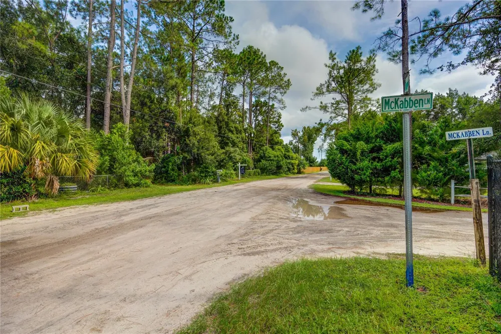 7408 TOM DRIVE Land O Lakes, FL 34638