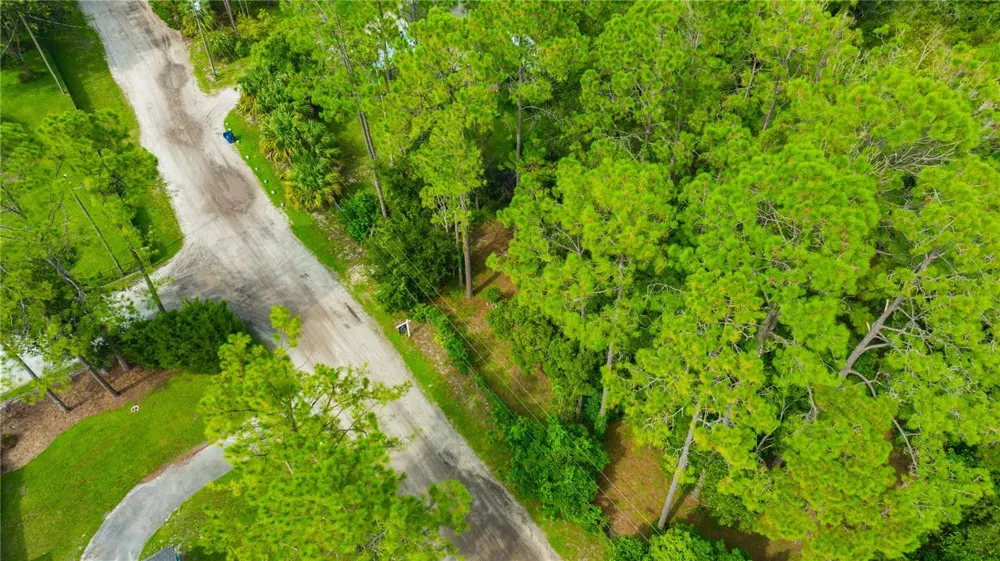 7408 TOM DRIVE Land O Lakes, FL 34638