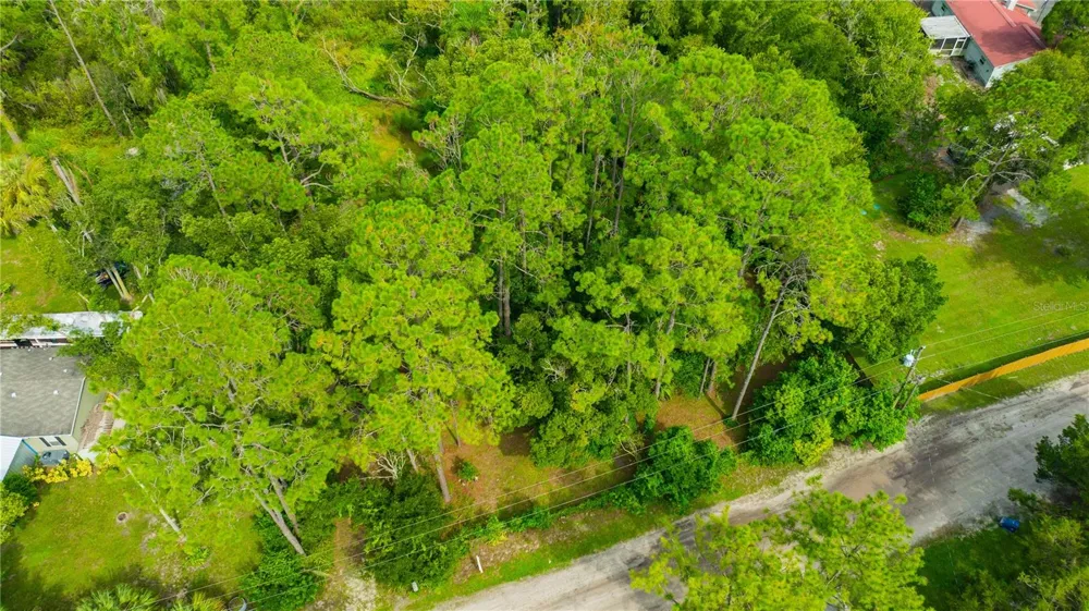 7408 TOM DRIVE Land O Lakes, FL 34638